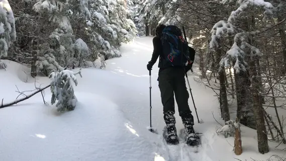 Video of breaking trail in snowshoes